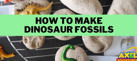 How to Make Dinosaur Fossils