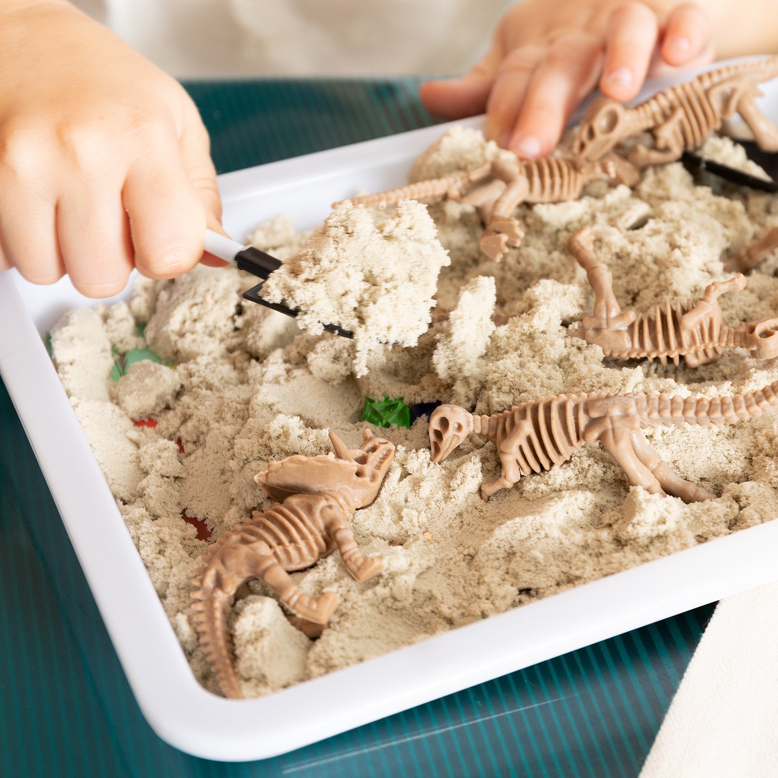 Dinosaur Sensory Bin, Dinosaur Toy for Preschoolers