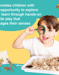 Dinosaur Sensory Bin, Dinosaur Toy for Preschoolers
