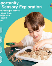 Dinosaur Sensory Bin, Dinosaur Toy for Preschoolers
